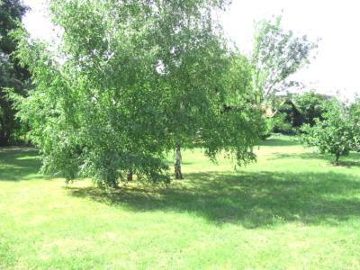 La Maison Tournesol - 3 Bedroom House With Large Garden Near Saumur Saint-Martin-de-la-Place المظهر الخارجي الصورة