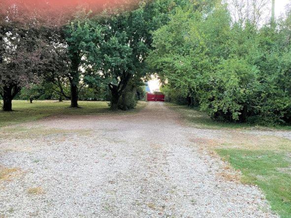 La Maison Tournesol - 3 Bedroom House With Large Garden Near Saumur Saint-Martin-de-la-Place المظهر الخارجي الصورة